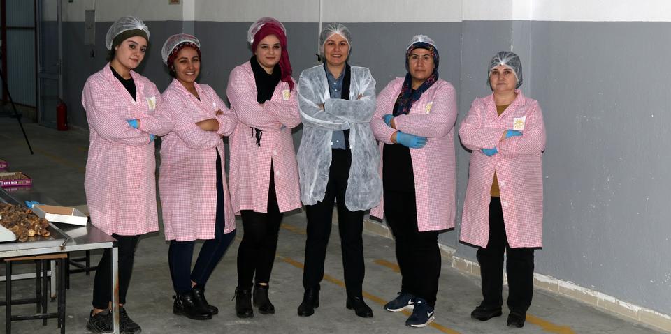 Aydın'da devletten aldığı destekle incir işleme tesisi kuran Fatma Asena Yazar (sağ3), 3 yıl içinde işlerini büyüterek ihracat yapmaya başladı. ( Mehmet Çalık - Anadolu Ajansı )