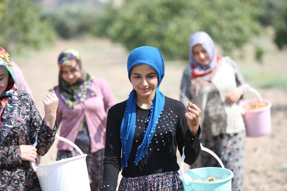 Dünyanın önde gelen kuru incir üretim merkezi Aydın'da, hasat telaşı yaşanıyor. ( Ferdi Uzun - Anadolu Ajansı )