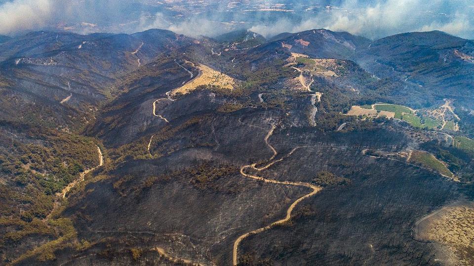 Türkiye genelindeki orman yangınlarında bu yıl 5 bin 469 hektar alan zarar görürken, en fazla hasar İzmir Orman Bölge Müdürlüğü sınırları içinde meydana geldi. ( Arife Yıldız Ünal - Anadolu Ajansı )