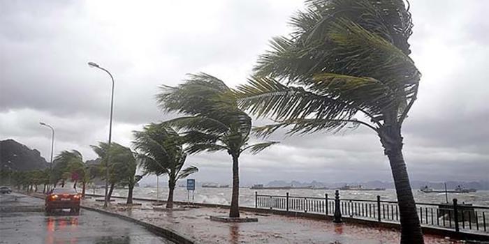 Meteoroloji Genel Müdürlüğü’nden gelen bilgiye göre bugün Aydın’da kuvvetli rüzgar ve fırtına etkili olacak.