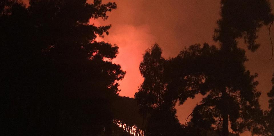 Muğla'nın Dalaman ilçesinde, dün başlayan ve 300 hektarlık alanda etkili olan orman yangınının çıkış nedeninin belirlenmesi için Muğla İl Jandarma Komutanlığı'nca 20 kişilik özel ekip kuruldu.