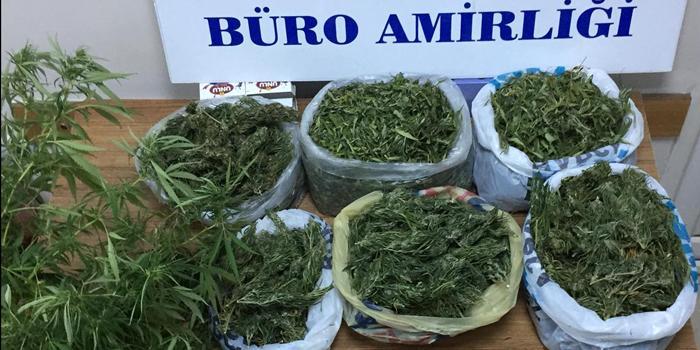 İzmir'de uyuşturucu kullanımı ve ticaretine yönelik yapılan çalışmalar kapsamında 122 kök hint keneviri ve kurutulup kullanıma hazır hale getirilmiş 4,5 kilogram esrar ele geçirildi. ( Menemen İlçe Emniyet Müdürlüğü - Anadolu Ajansı )