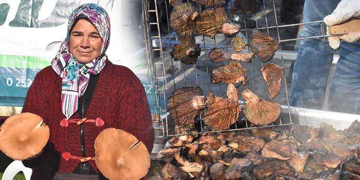 Muğla'nın Menteşe ilçesinde, Ege Bölgesi'nde ormanlık alanlarda doğal ortamda yetişen mantar türlerinden "çıntar" için festival düzenlendi. ( Durmuş Genç - Anadolu Ajansı )