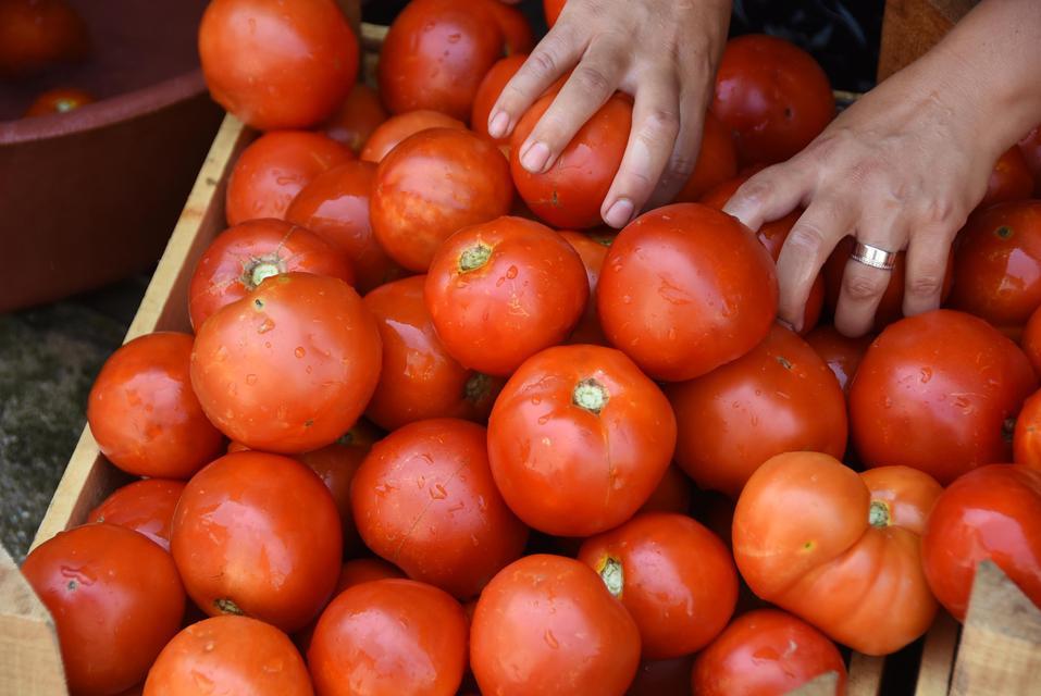 Türkiye İstatistik Kurumu (TÜİK) İzmir Bölge Müdürlüğü verilerine göre, Temmuz ayında fiyatı en fazla artan ürün yüzde 15,64'lük artışla domates oldu.
