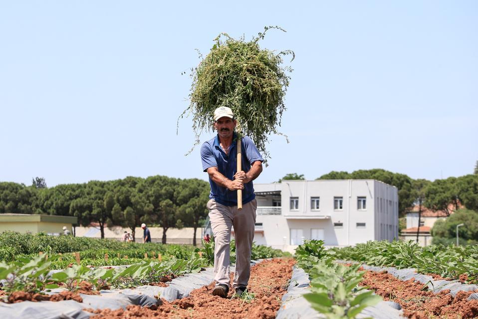 İzmir'in Menemen ilçesindeki Ulusal Tohum Gen Bankası'nda bulunan kavun, karpuz ve kabak tohumları, 30 yıldır saklandıkları sıfırın altında 18 derecedeki ortamdan çıkarılarak toprakla buluştu. Çimlenme yeteneklerinin korunması için yapılan üretim yenileme çalışmasında elde edilecek yeni tohumların bir kısmı tekrar bankaya dönecek, bir kısmı ise ıslah edilerek üreticiyle buluşacak.