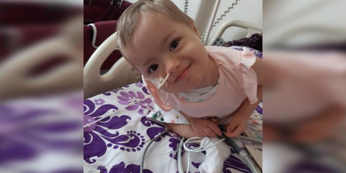 Down sendromlu lösemi hastası 3 yaşındaki Afra Eylül Arabacı, Ege Üniversitesi Tıp Fakültesi Hastanesindeki kök hücre nakliyle sağlığına kavuştu. ( AA - Anadolu Ajansı )
