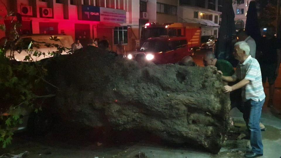İzmir'in Konak ilçesinde devrilen ağaç bir kişinin hafif yaralanmasına sebep olurken, 3 araca da hasar verdi. ( Yusuf Soykan Bal - Anadolu Ajansı )