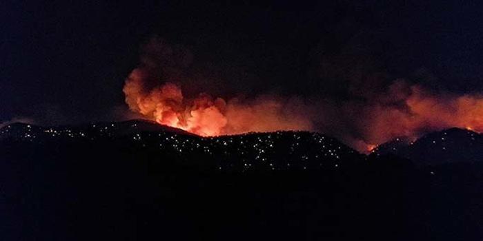 Tarım ve Orman Bakanı Bekir Pakdemirli, Muğla'daki orman yangınının kontrol altına alındığını belirterek, "Can ve mal kaybımız yok Allah'a şükür, sadece içinde kimse olmayan butik otel, bir miktar etkilenmiş gözüküyor." dedi.