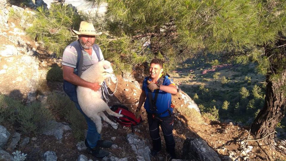 Aydın'ın Söke ilçesinde kayalık bölgede mahsur kalan kuzu, AFAD ekibince bulunduğu yerden kurtarıldı. ( AFAD - Anadolu Ajansı )