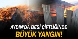 Aydın'ın Germencik ilçesinde bir besi çiftliğinin yaklaşık 300 ton yem ve kuru otun bulunduğu deposunda çıkan yangın söndürüldü.  ( Ferdi Uzun - Anadolu Ajansı )