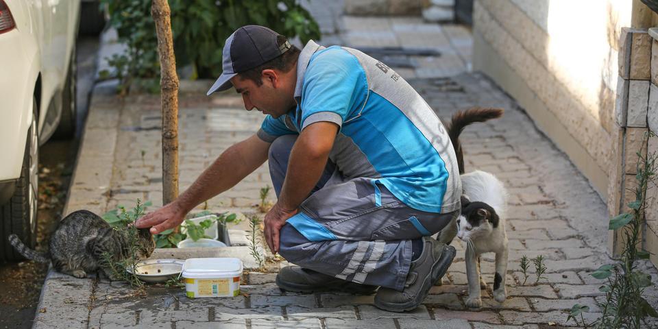 İzmir'in Buca ilçesinde, belediyede temizlik işçisi olarak çalışan zihinsel engelli Recep Çelik, çalışma bölgesindeki sahipsiz kedi ve köpeklerin su ve mama ihtiyacını gideriyor. ( Buca Belediyesi - Anadolu Ajansı )