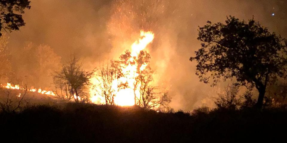 Muğla Orman Bölge Müdürü Yasin Yaprak, sorumluluk bölgeleri Muğla ve Aydın'da bu yıl çıkan 328 yangında 813 hektar ormanlık alanın zarar gördüğünü söyledi.