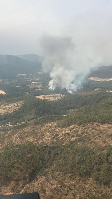 Muğla'nın Kavaklıdere ilçesinde çıkan orman yangınına müdahale ediliyor. Bölgede etkili olan rüzgar nedeniyle kısa sürede yayılan alevlere Muğla Orman Bölge Müdürlüğü ekipleri müdahale ediyor. Yangının kontrol altına alınması için yürütülen çalışmalara bölge halkı da destek veriyor. ( Tarım ve Orman Bakanlığı - Anadolu Ajansı )