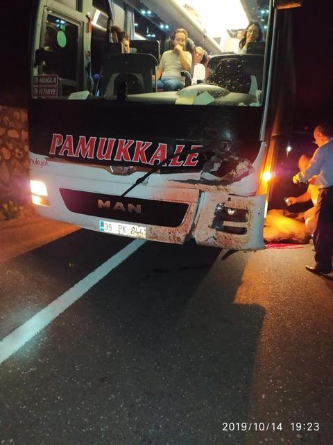 Çine'de meydana gelen trafik kazasında yolcu otobüsü ineğe çarptı. Kazada inek telef oldu, otobüste maddi hasar meydana geldi.