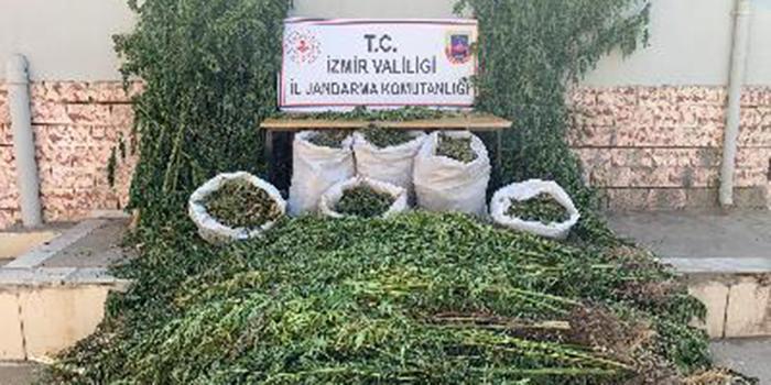 İzmir'in Ödemiş ilçesinde jandarma ekiplerince yapılan uyuşturucu operasyonunda 11 kilogram kubar esrar ele geçirildi. ( İzmir İl Jandarma Komutanlığı - Anadolu Ajansı )