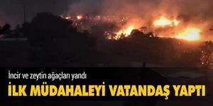 İzmir'in Ödemiş ilçesinde zeytin ve incir ağaçlarının olduğu yaklaşık 40 dekarlık alan, çıkan yangında zarar gördü. ( Turgay Konuralp - Anadolu Ajansı )