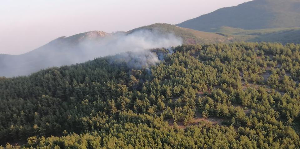 Muğla'nın Milas ilçesinde orman yangını çıktı.  ( Muğla  Orman Bölge Müdürlüğü - Anadolu Ajansı )