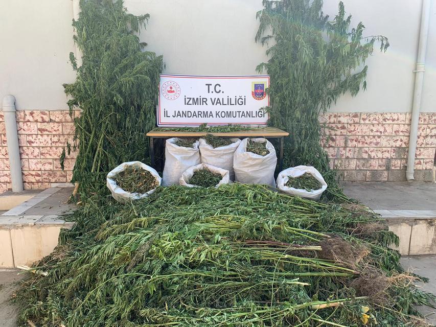 İzmir'in Ödemiş ilçesinde jandarma ekiplerince yapılan uyuşturucu operasyonunda 11 kilogram kubar esrar ele geçirildi. ( İzmir İl Jandarma Komutanlığı - Anadolu Ajansı )