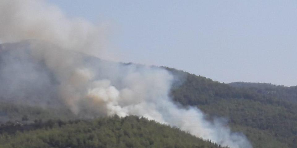 Muğla'nın Milas ilçesinde orman yangını çıktı. Yangına Muğla Orman Bölge Müdürlüğü bünyesindeki 2 helikopterle havadan, 10 arazöz ve çok sayıda orman işçisiyle karadan müdahale ediliyor. ( MUĞLA ORMAN BÖLGE MÜDÜRLÜĞÜ - Anadolu Ajansı )