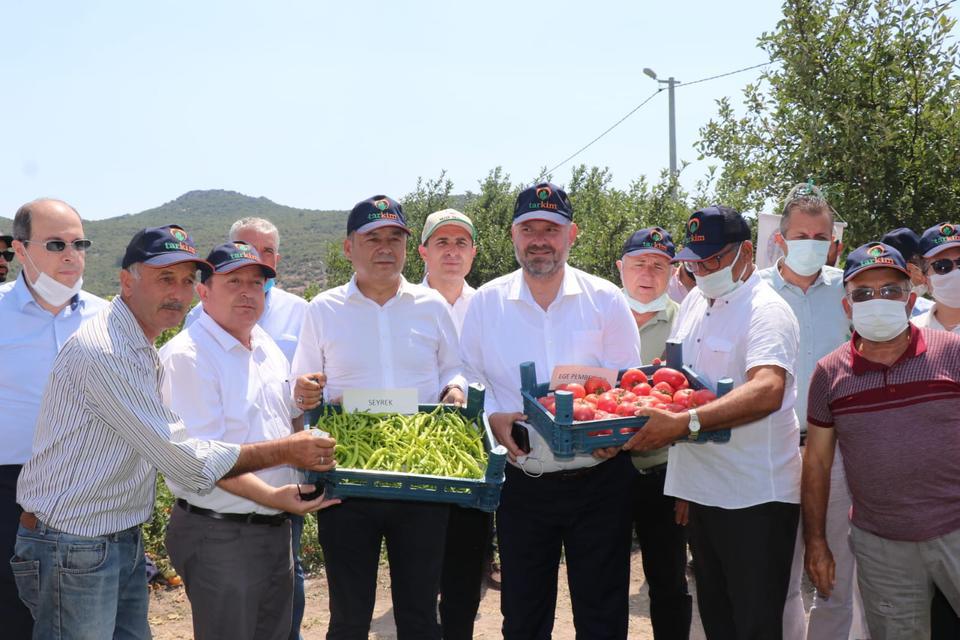 Ege Tarımsal Araştırma Enstitüsü Müdürlüğü tarafından geliştirilen sebze çeşitleri, İzmir'in Menemen ilçesinde düzenlenen "tarla günü" etkinliğiyle tanıtıldı. ( İzmir Tarım İl Müdürlüğü - Anadolu Ajansı )